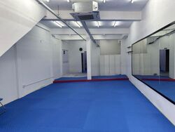 Balestier Road (D12), Shop House #460150651